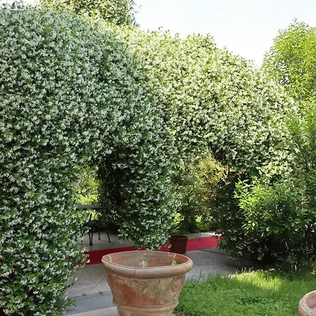 La Fenice Locazione Turistica Pensionat 4*