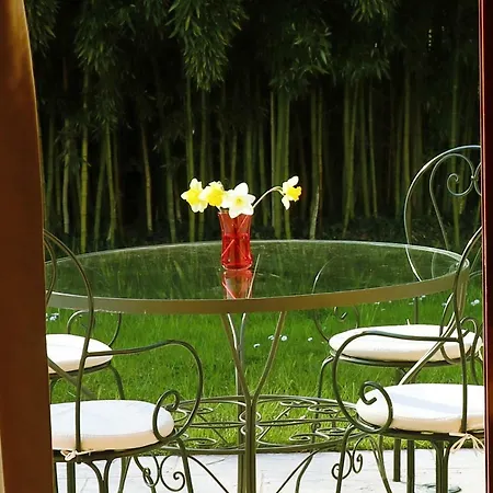 La Fenice Locazione Turistica Guest house Treviso